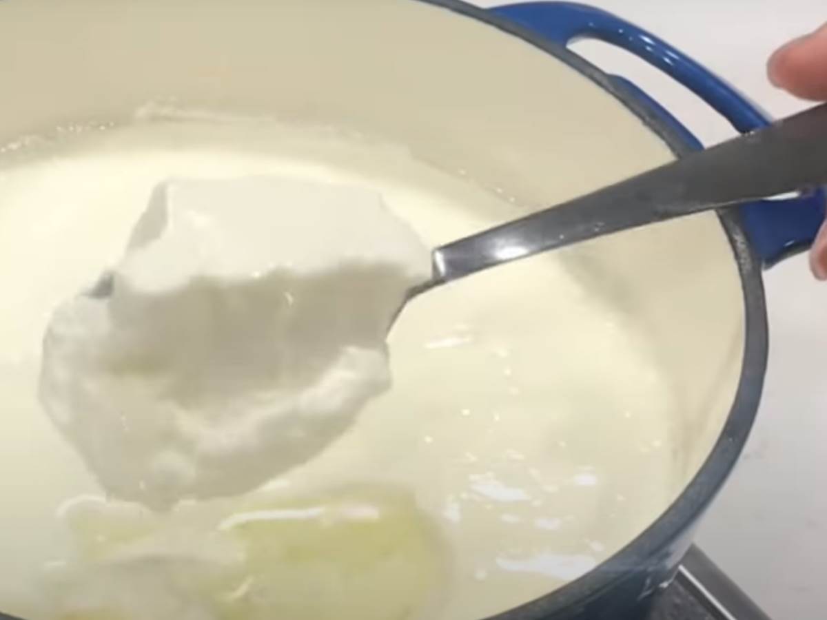  jogurt i kiseli kupus za imunitet 