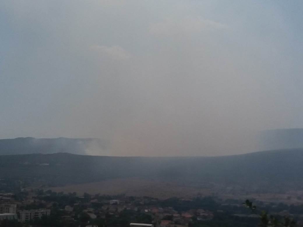  Srn2021-8-11_1550851_0 