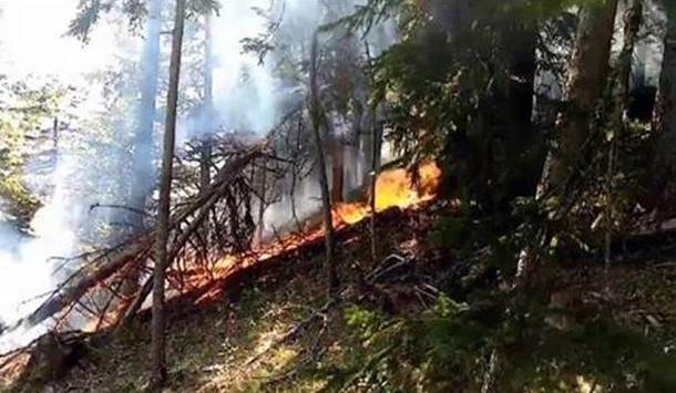  Požar kod Pala i dalje bukti, potrebni dobrovoljaci za gašenje 