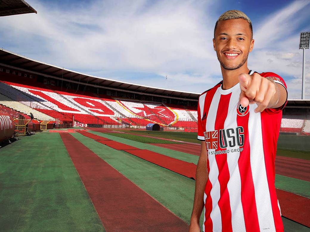  crvena zvezda ko je rišairo živković 