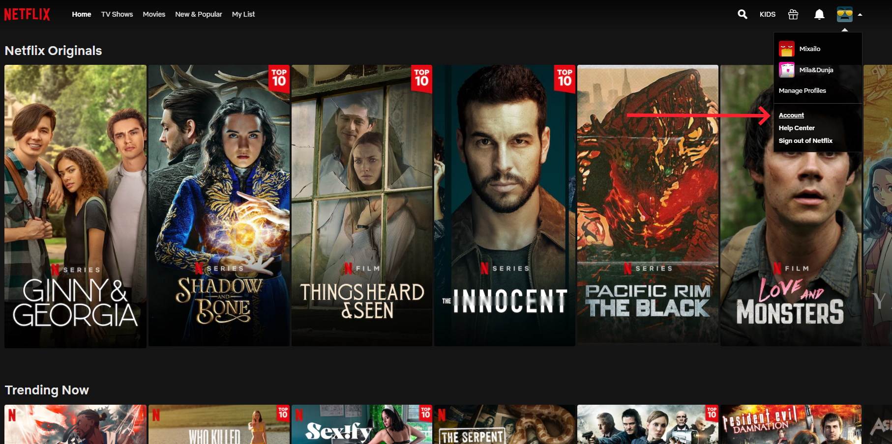  Netflix napravio sajt sa Top 10 naslova za svaku državu, sem naše 