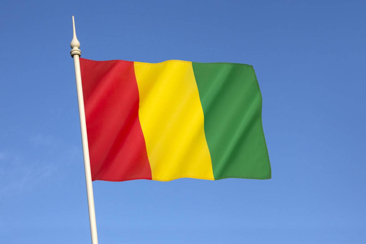  Državni udar u Gvineji 
