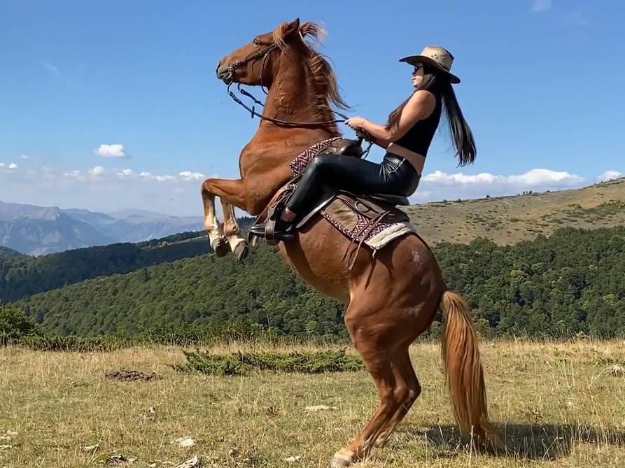  Jahanje konja Crna Gora Bjelasica 