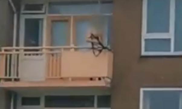  Napad samostrelom u Holandiji: Sa balkona gađao prolaznike, ima mrtvih! VIDEO 