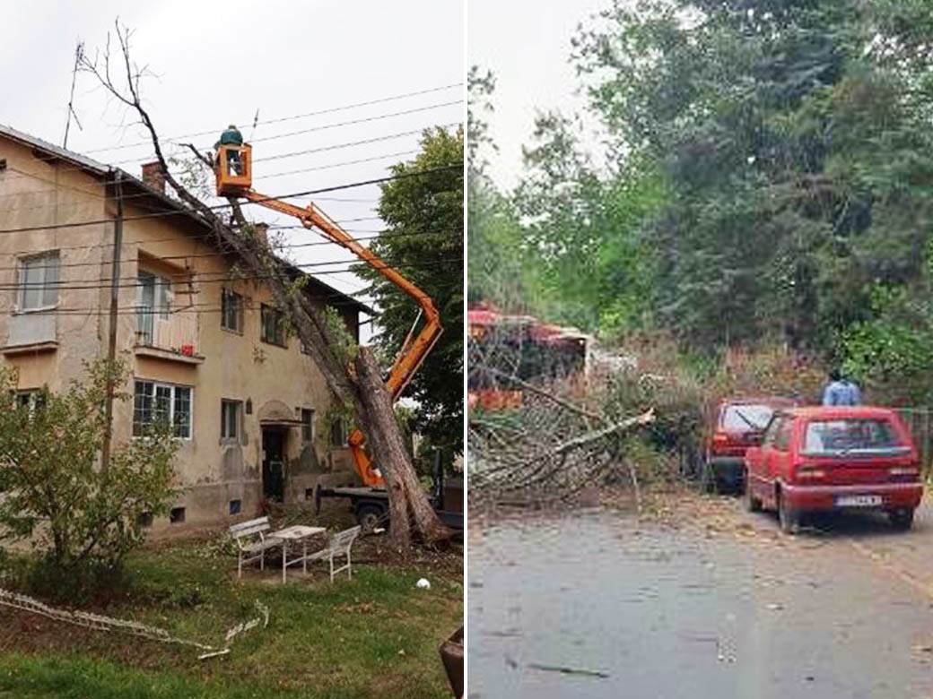  Košava napravila haos u Beogradu, padalo i drveće... (FOTO) 
