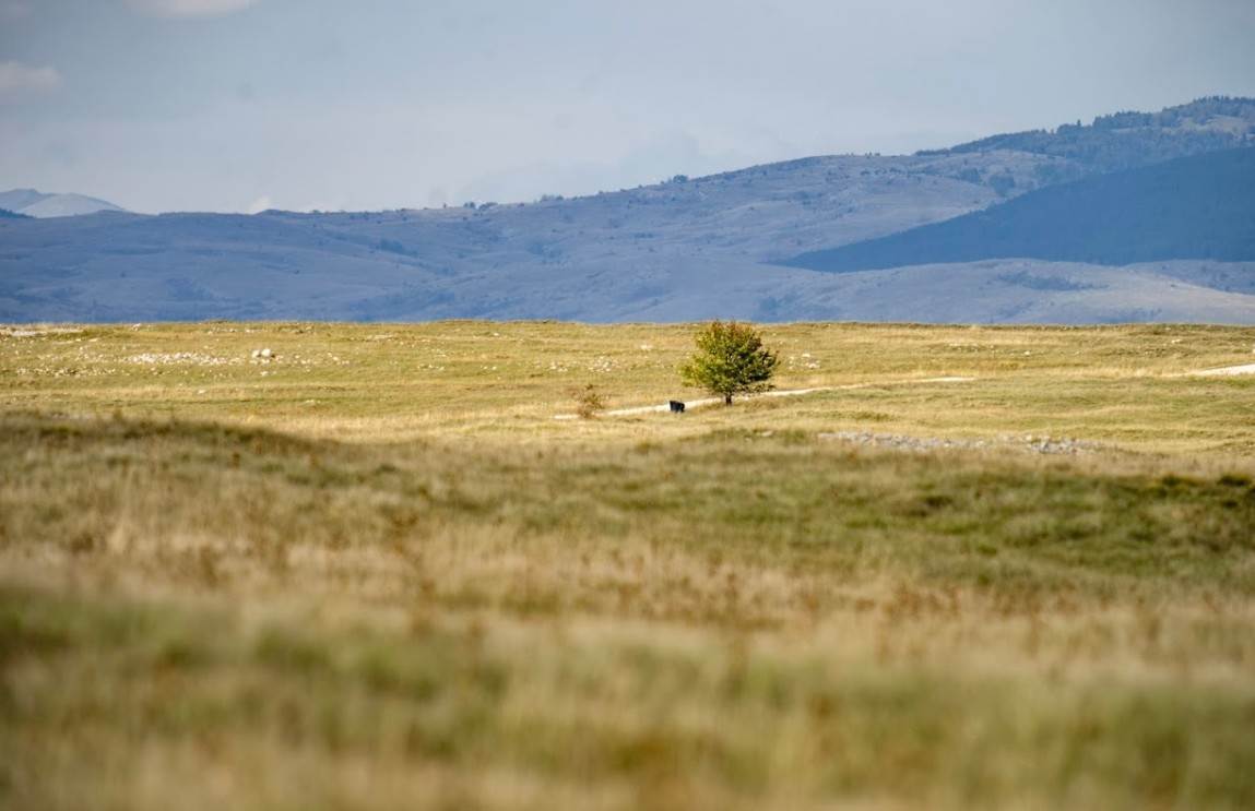  Peticija protiv vojnog poligona u Glamoču 