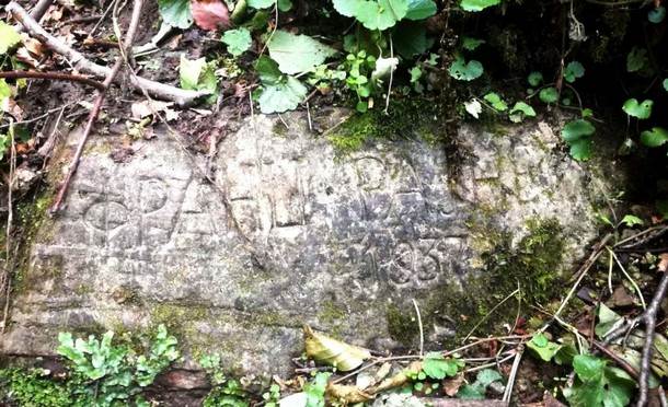 Franc Franjo Rajner, biografija 