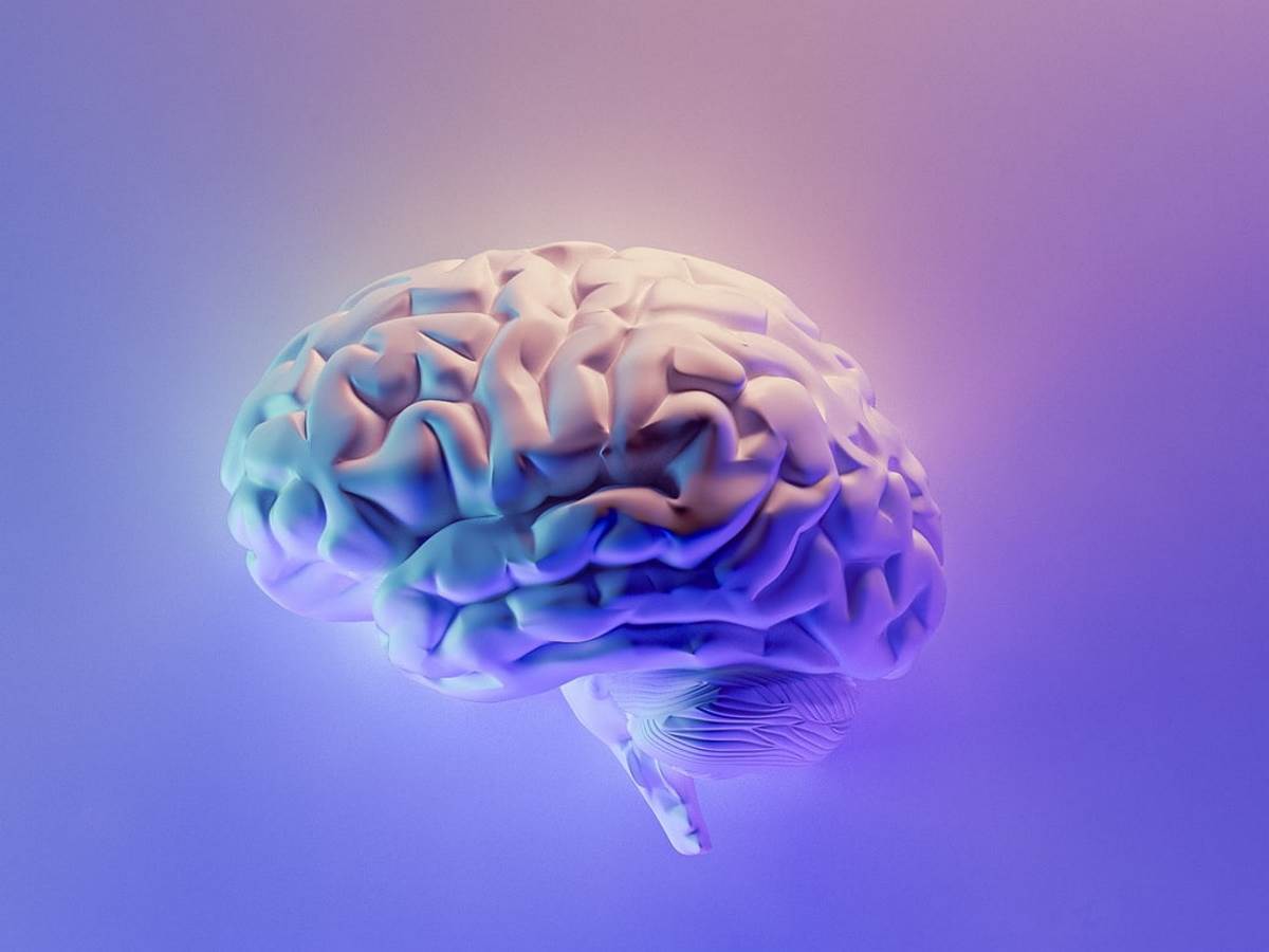  Mladi ljudi imaju veći mozak 