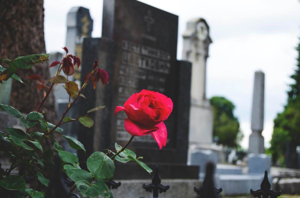  Krađa na grobnicama u Mostaru 