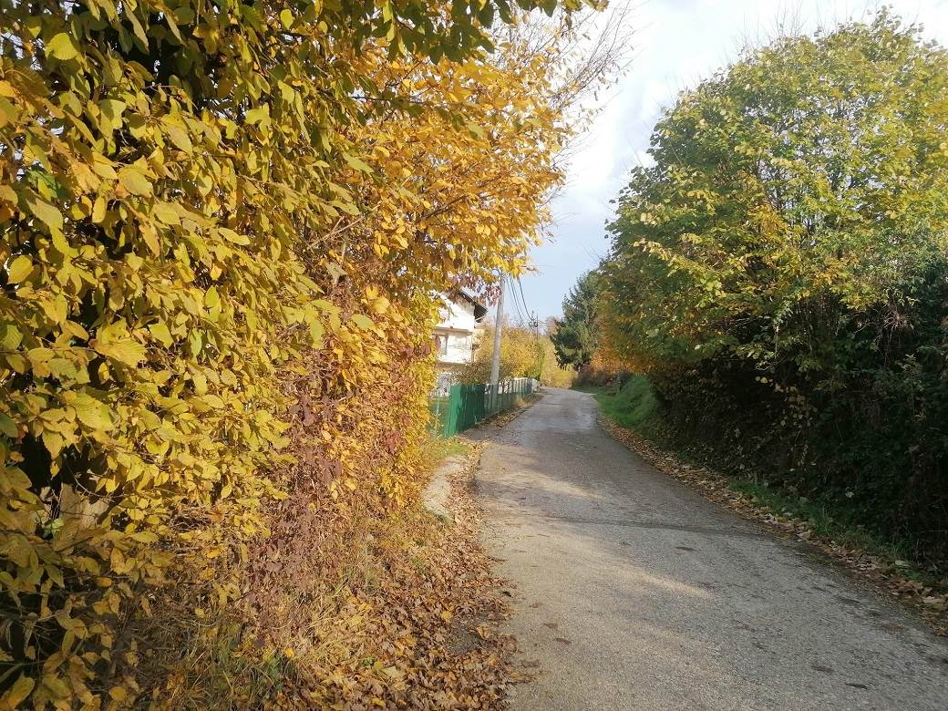 Moskovska ulica u Česmi.jpg Moskovska ulica u Česmi.jpg