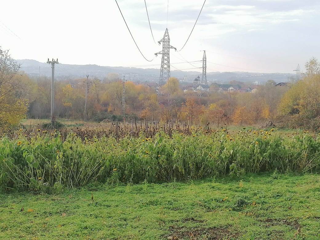 Polje suncokreta u Česmi.jpg Polje suncokreta u Česmi.jpg