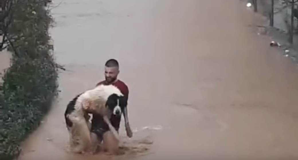  Sarajlija u gaćama i majici uletio u vodu i spasio psa (VIDEO) 