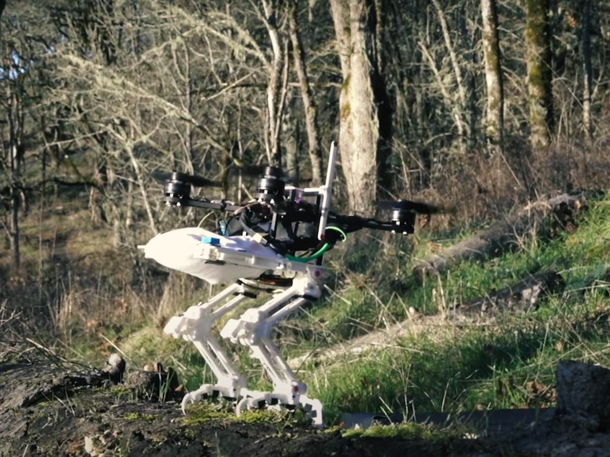  Roboti dobijaju krila: Mašina koji leti kao soko 