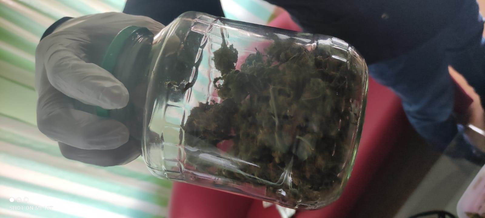  Prnjavor pronađena laboratorija za marihuanu 