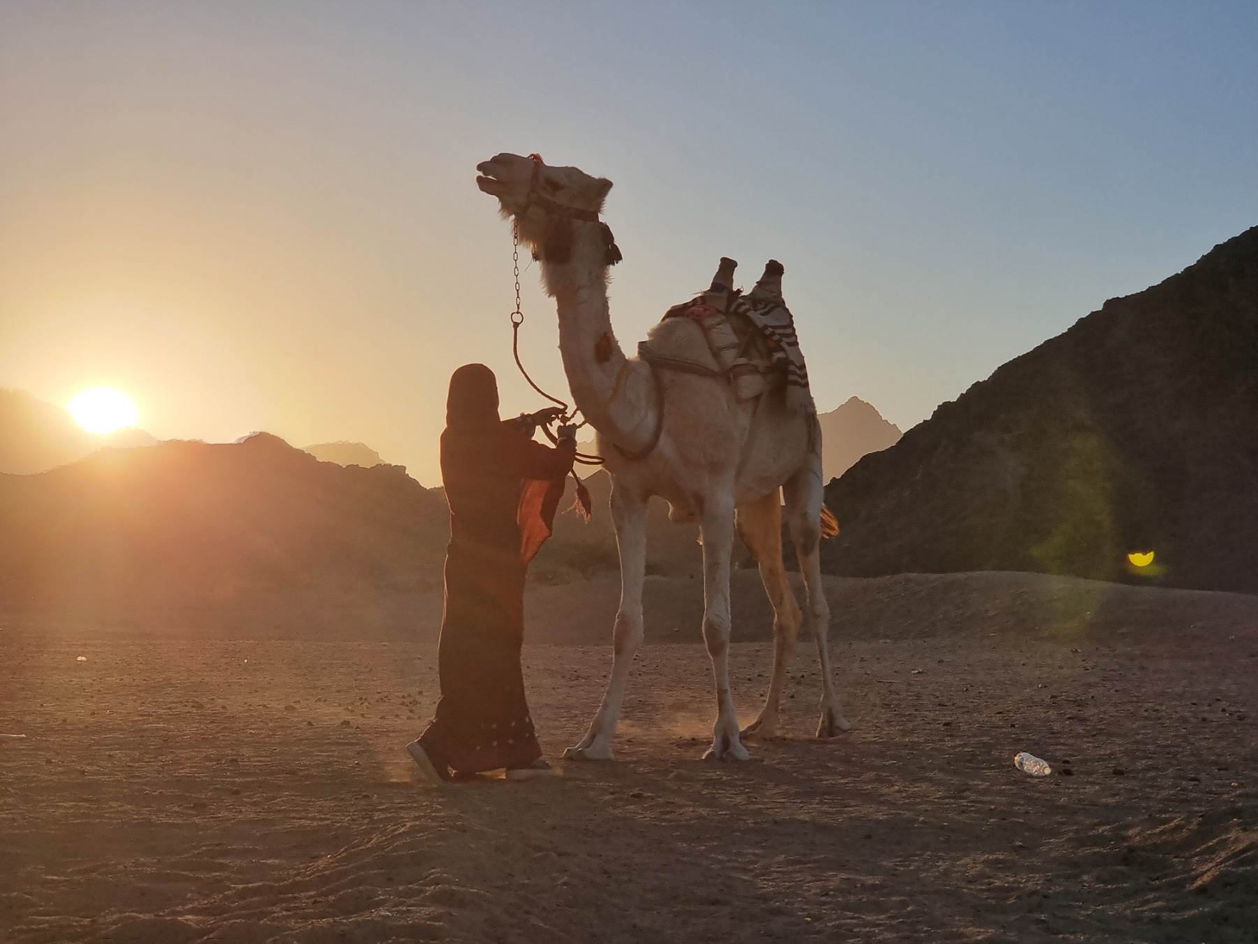  Izbor za mis kamile u Kataru 