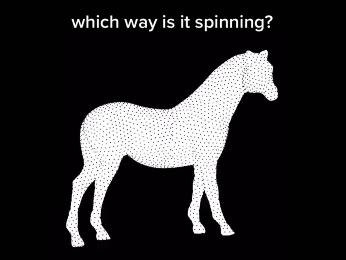  Optička iluzija na koju stranu se konj okreće 