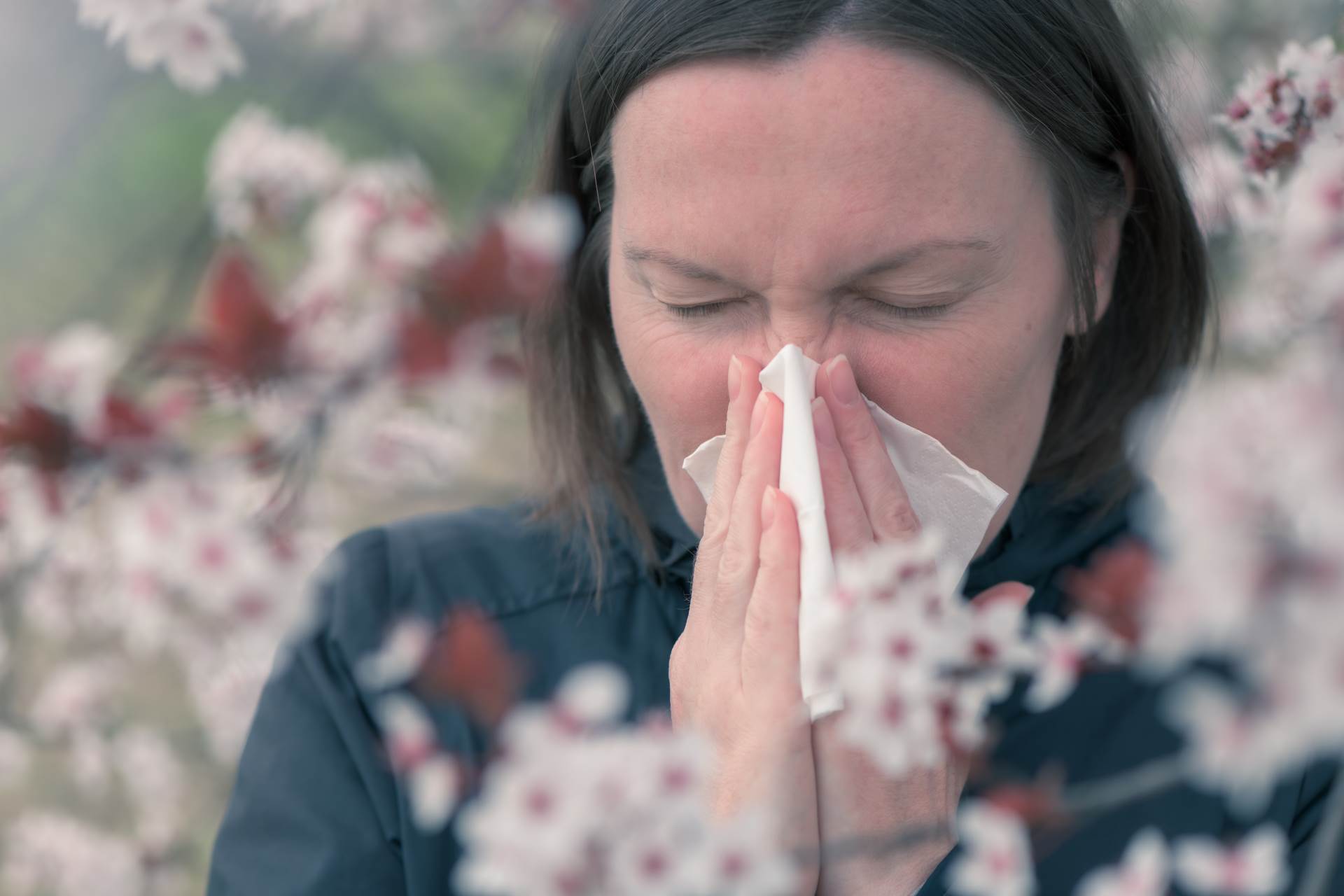  Kako pobijediti alergiju na polen 