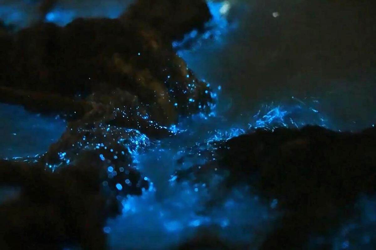  "Plava suza" u Fuđijenu - Morski fenomen u vodama ostrva Pingtan 