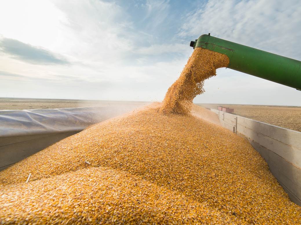  Mađarska nudi rutu za izvoz ukrajinskih žitarica 