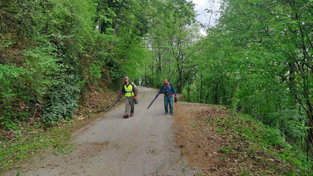 Počela sanacija na Trešnjiku Počela sanacija na Trešnjiku