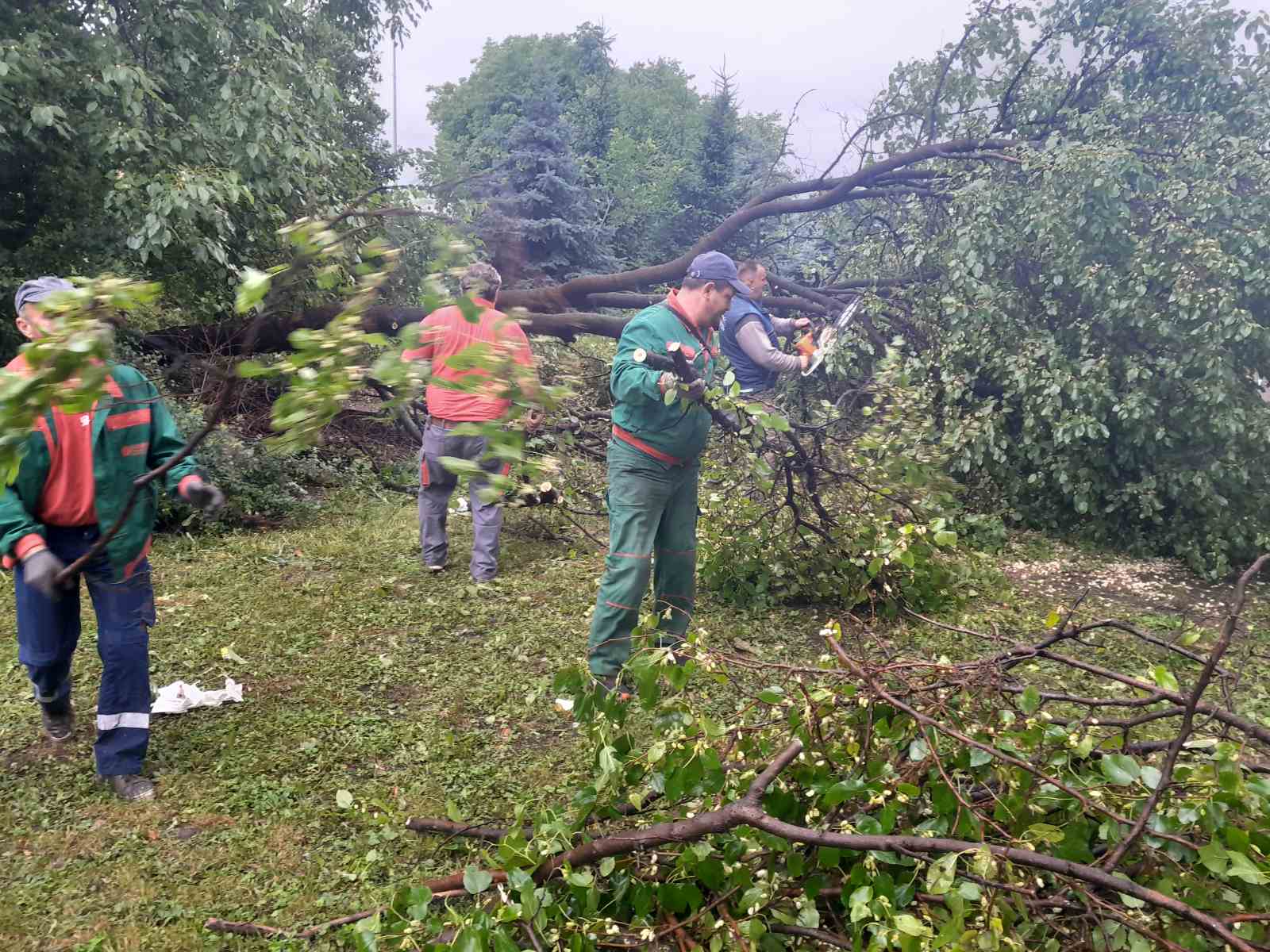  Nevrijeme rušilo stabla u Banjaluci 