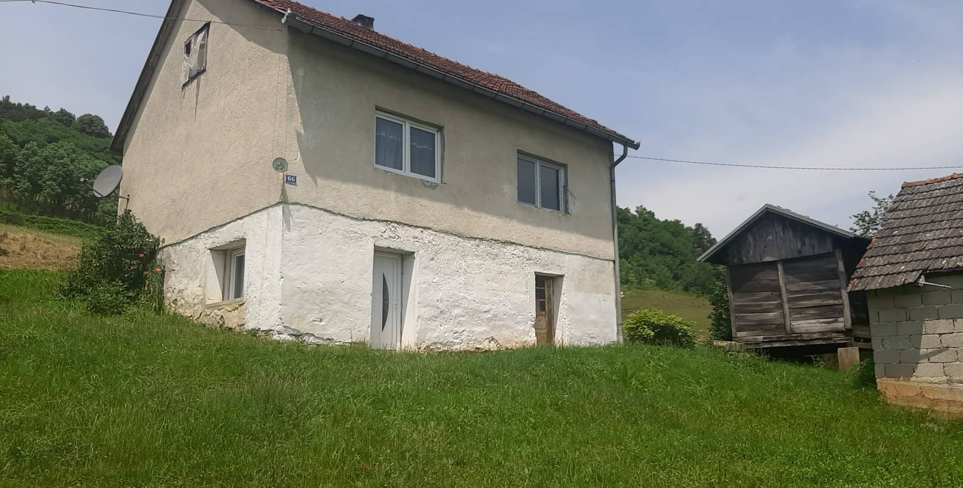 Slijepi pas i stari mačak iz Gornjih Rakana 