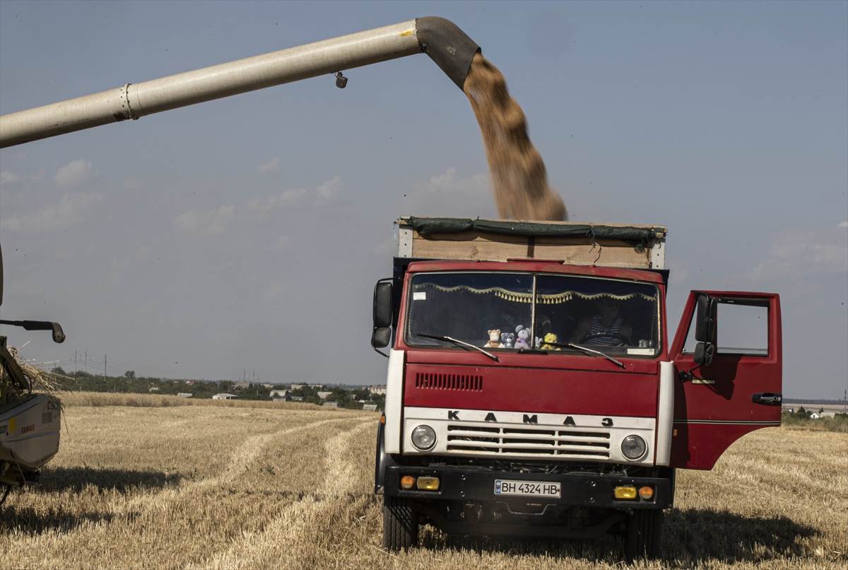  ukinuta zabrana izvoza žitarica iz srbije 