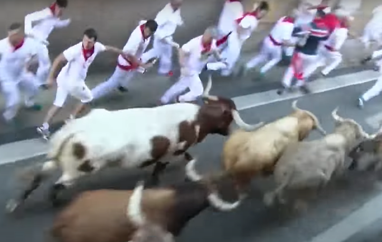  Sedmoro povrijeđenih u trci sa bikovima 