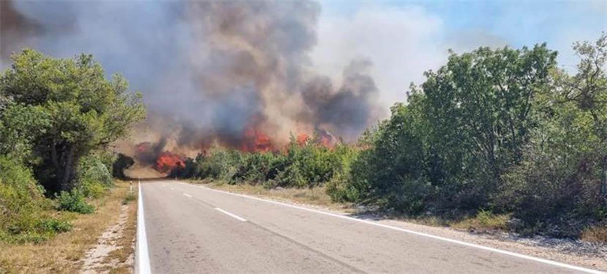  Požari u Dalmaciji 