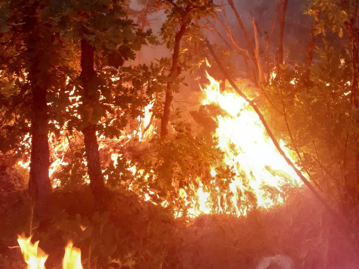  Zbog požara u Hercegovini zatražena pomoć Hrvatske 