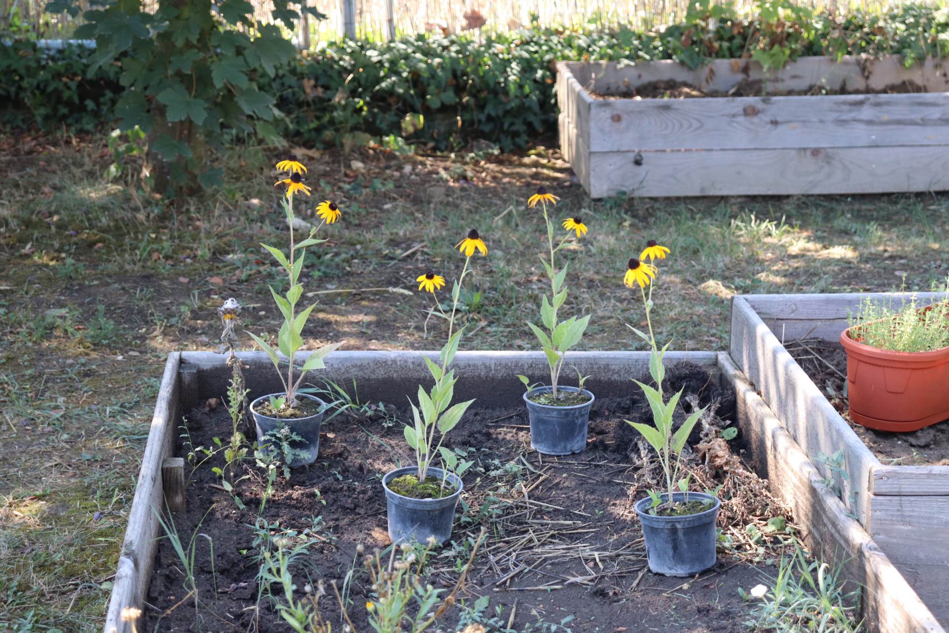  Banjaluka gradi inkluzivnu urbanu baštu za osobe sa invaliditetom 