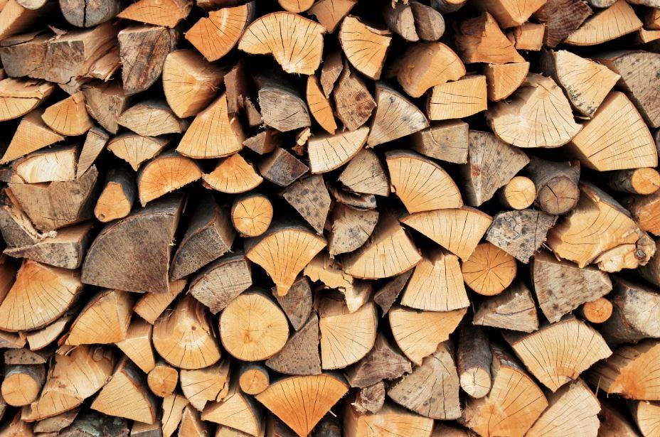  Udruženje poslodavaca FBiH traži zabranu izvoza ogrevnog drveta 