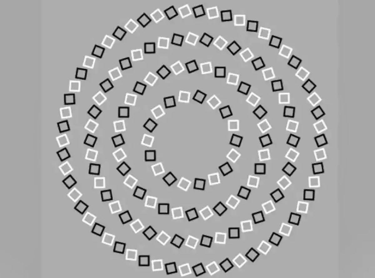 Optička iluzija koliko krugova je na slici 