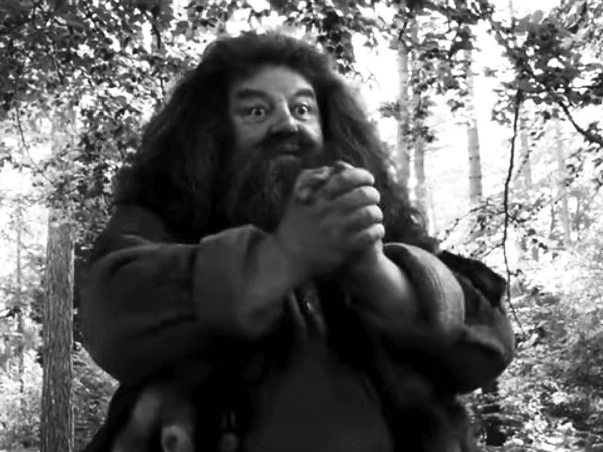  Preminuo Robi Koltrejn Hagrid iz filma Hari Poter 