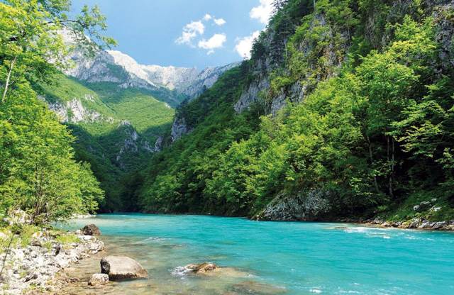  Rijeka Tara najveći prirodni rezervoar pitke vode u Evropi 