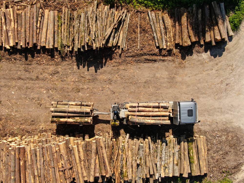  Boris Pašalić o o isporuci drvnih sortimenata sa drvoprerađivačima 