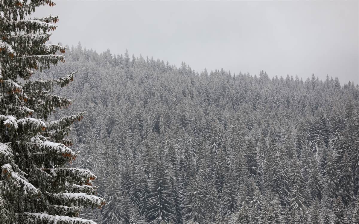  Radnik meteorološke stanice nestao na Bjelašnici  