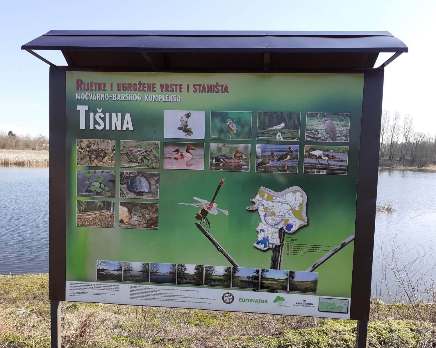  Akcija za spas Tišine: Ribolovci upumpavaju vodu da spriječe pomor ribe 