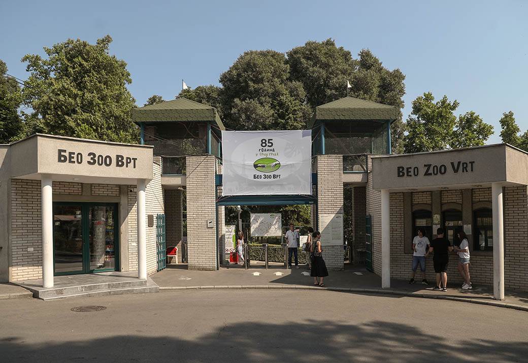  Seli se beogradski Zoo vrt 