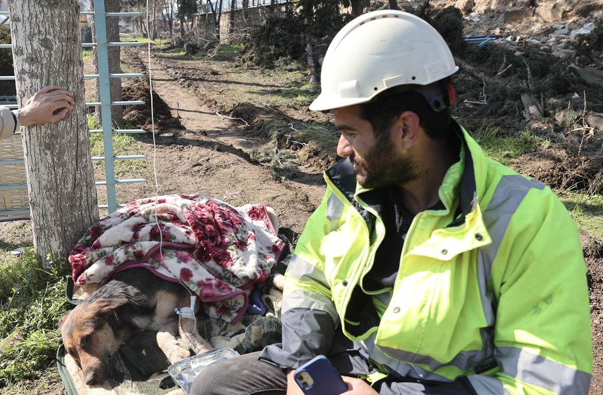  Ispod ruševina u Turskoj spašen pas 