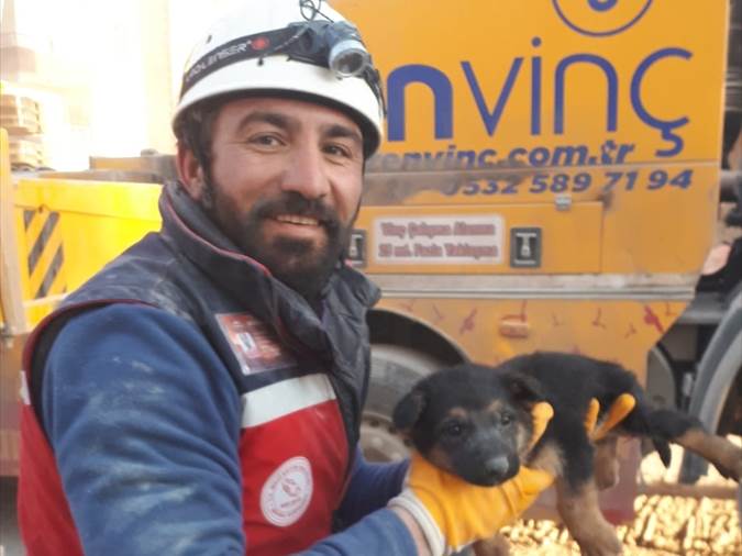  Spašavanje životinja iz ruševina u Turskoj 