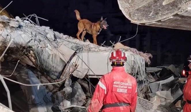  Pas Zigi nanjušio živu osobu ispod ruševina 