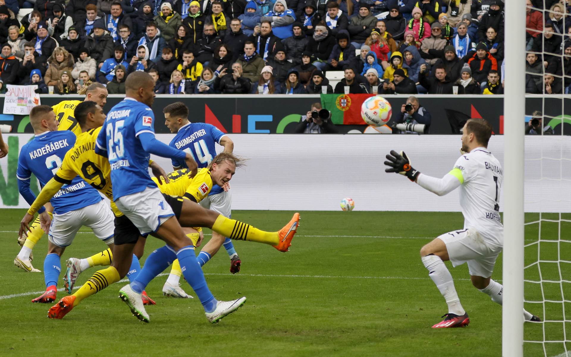  Bundesliga 22 kolo Hofenhajm - Borusija Dortmund 0-1 
