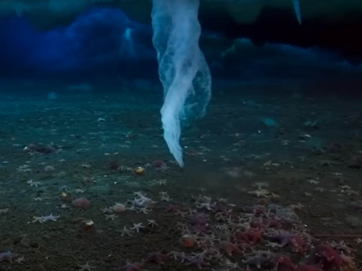  Ledeni prst smrti Antarktik video  