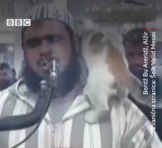  Mačka ometa molitvu u džamiji 