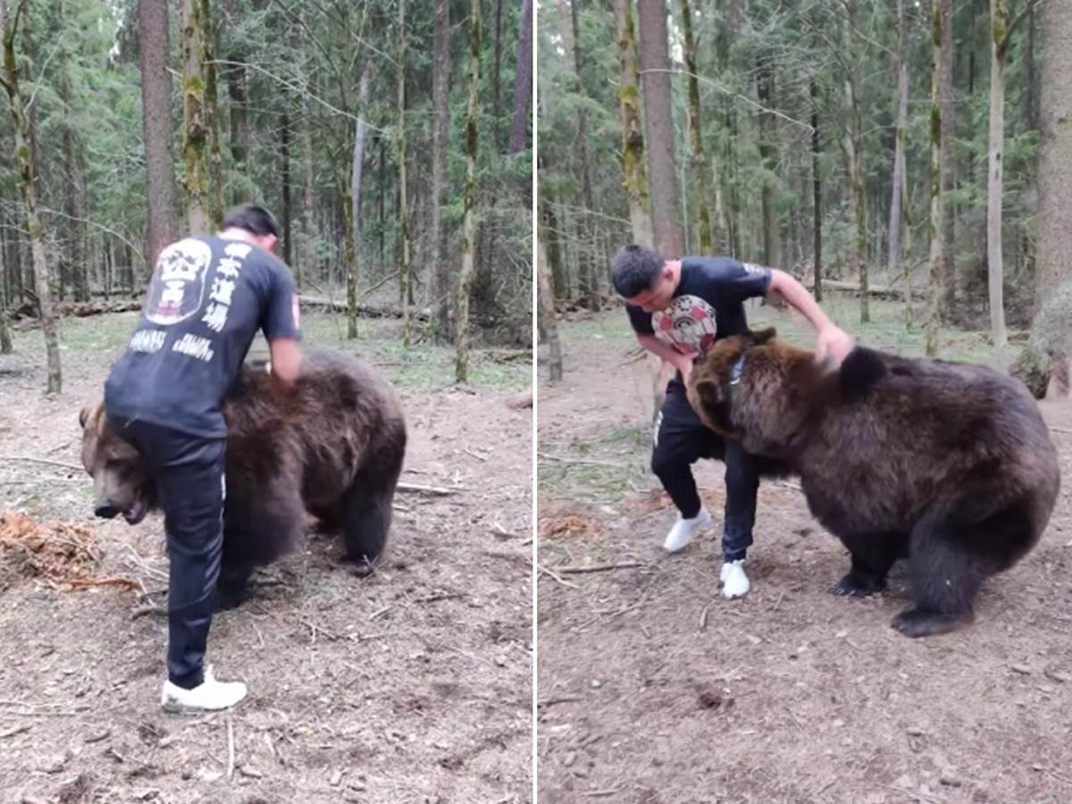  MMA borac rvanje sa medvjedom 