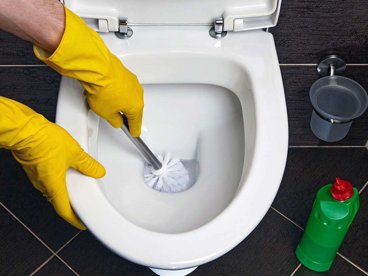 koliko često treba da mijenjate četku za WC ŠOLJU koliko često treba da mijenjate četku za WC ŠOLJU