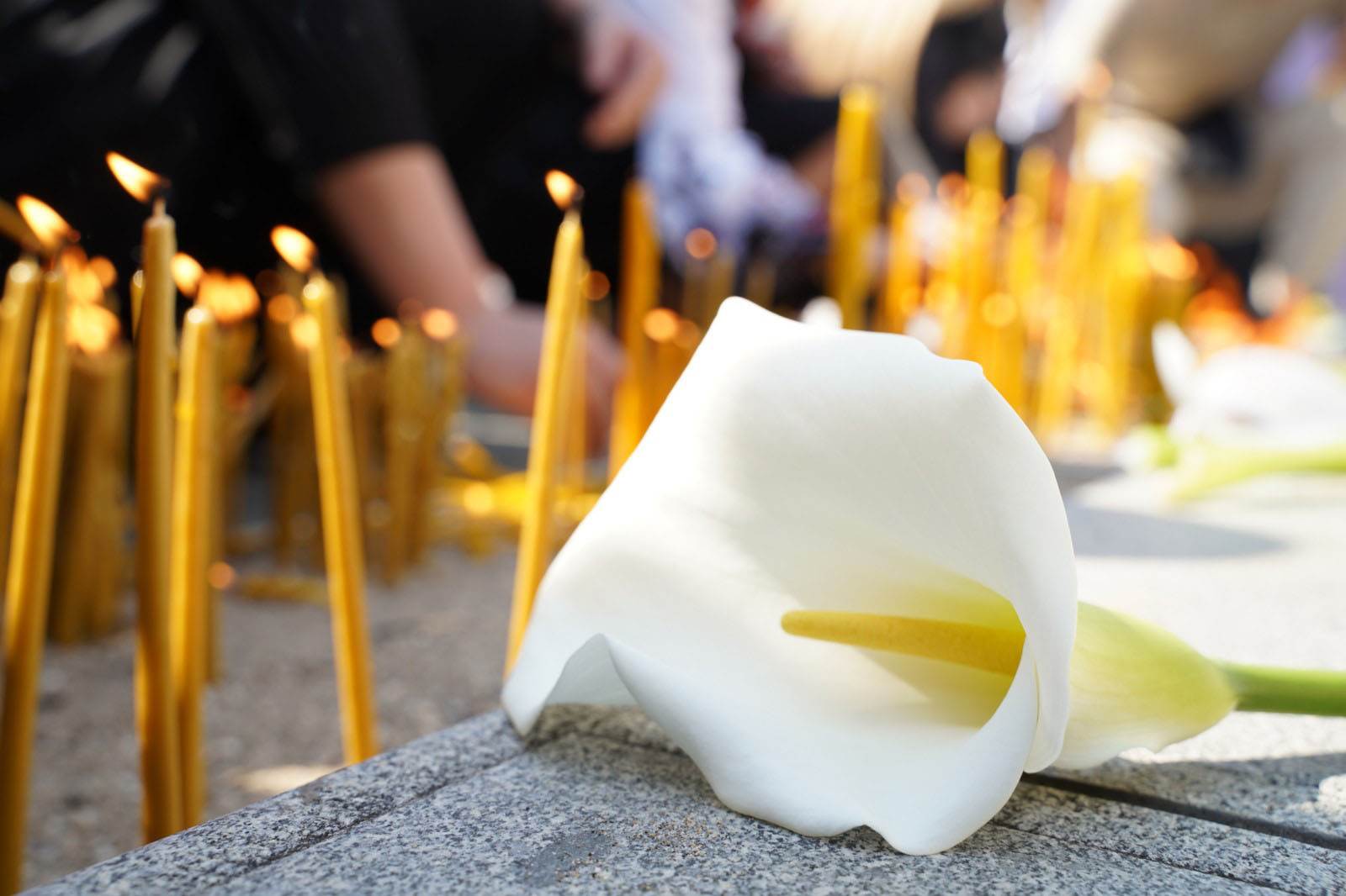  Sahrane ubijenih u Beogradu i Mladenovcu 
