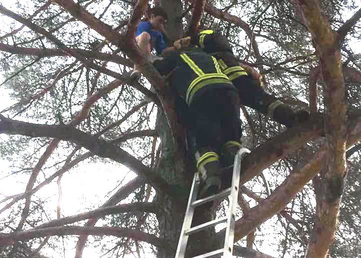  Banjalučki vatrogasci spasili dječaka koji se popeo na drvo 