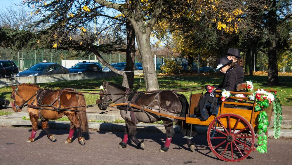  Pariz ukida jahanje ponija u parkovima 